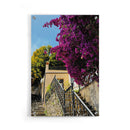 Purple Touch - Walljar