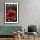Bloemen poster