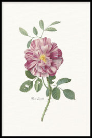 Bloemen poster
