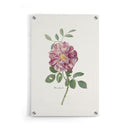 Bloemen poster