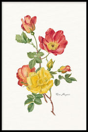 Bloemen poster