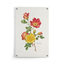 Bloemen poster