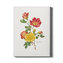 Canvas Rosa Moyesii