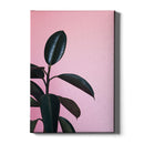 Planten poster