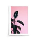 Planten poster
