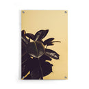 Planten poster
