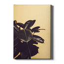 Planten poster