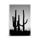 Cactus poster