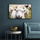 Schaap schilderij