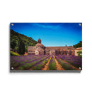 Bloemenveld landschap