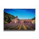 Bloemenveld landschap