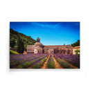 Bloemenveld landschap