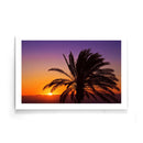 Palmbomen poster