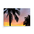 Palmbomen poster