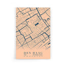 Stadskaart Den Haag Centrum VI poster