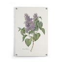 Bloemen poster