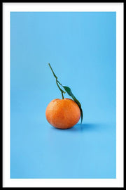 Manderijn poster
