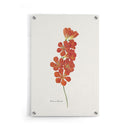 Bloemen poster