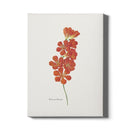 Canvas Tritonia Crocata