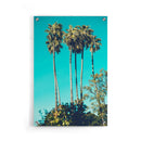 Palmbomen poster