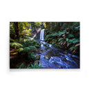 Tropische wanddecoratie