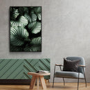 Planten poster