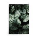 Planten poster