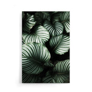Planten poster