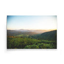 Tropische wanddecoratie