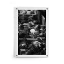 Tulip Roots - Walljar