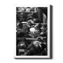 Tulip Roots - Walljar