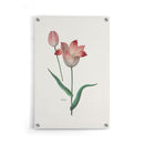 Bloemen poster