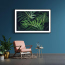 Monstera poster
