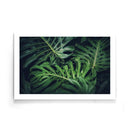 Monstera poster