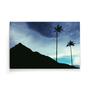 Palmboom poster