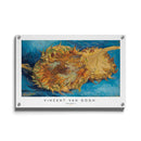Vincent van gogh poster