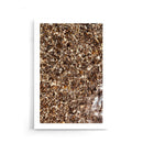 Water Stones Shapes - Walljar