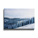 Bos berg sneeuw poster