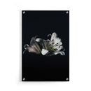 Bloemen poster