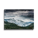 Sneeuw bos gebergte poster