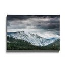 Sneeuw bos gebergte poster