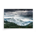 Sneeuw bos gebergte poster