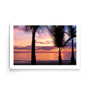 Palmbomen poster