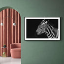 Zebra poster
