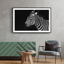 Zebra poster