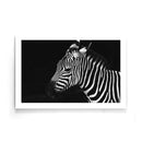 Zebra poster