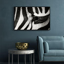 Zebra poster