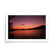 Poster natuur